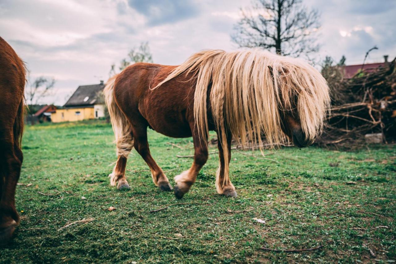 Sudeckie Chaty Kudowa-Zdrój Kültér fotó